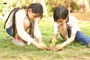 Unleash Your Outdoor Potential: Hardscaping in San Mateo