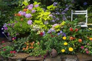 The Gardener's Palette Exploring the Diversity of Colors and Textures in Garden Plants