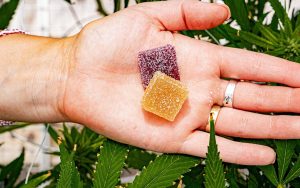 Delta 8 Gummies vs. Delta 9 What Sets These Edibles Apart?