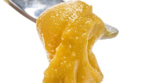 Elevating Experiences The Art and Science of Delta 8 Live Resin Extraction